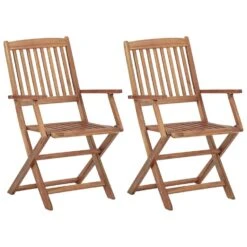 VidaXL Tuinstoelen 2 St Inklapbaar Massief Acaciahout 54 X 57 X 91 Cm
