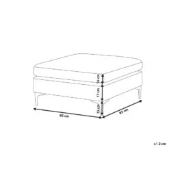 Beliani Ottomaan EVJA - Roze Fluweel -Woonmeubelwinkel 538f66df43d9473cafcc1a545aa4ec8b